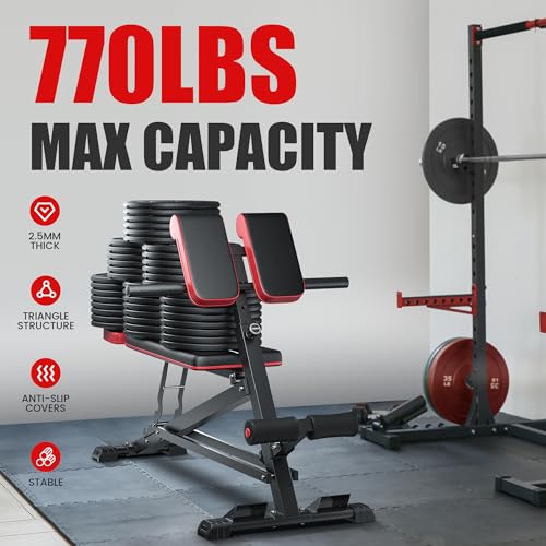 FLYBIRD 3 in 1 Workout Bench: Hyper Back Extension & Full Body!