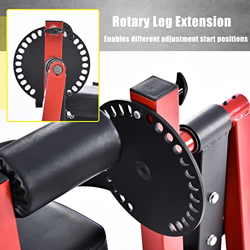 Merax Leg Extension and Leg Curl Machine