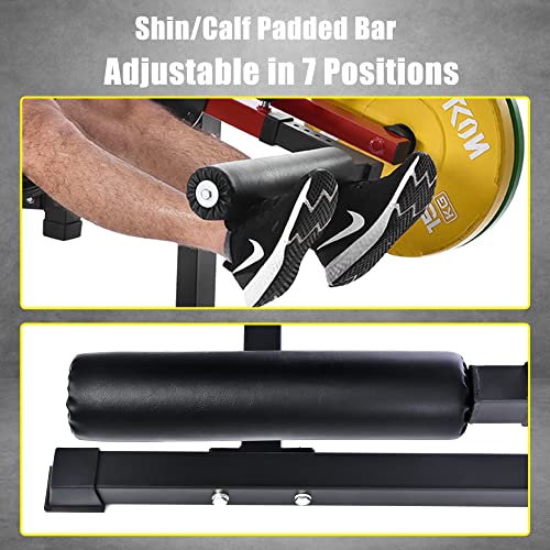 Merax Leg Extension and Leg Curl Machine