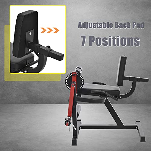 Merax Leg Extension and Leg Curl Machine