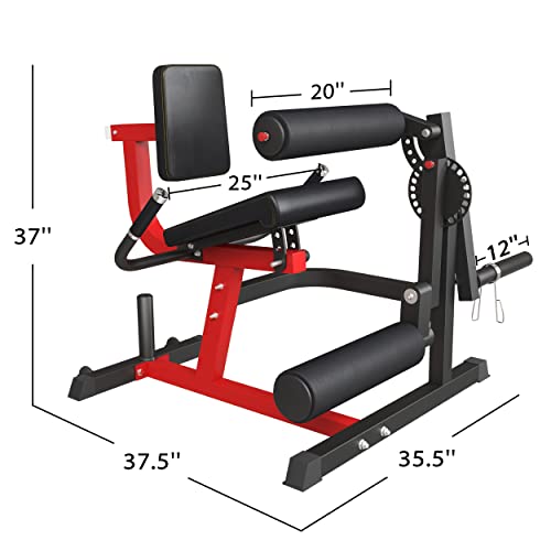Adjustable Leg Extension & Curl Machine - Home Fitness