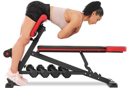 FLYBIRD 3 in 1 Workout Bench: Hyper Back Extension & Full Body!