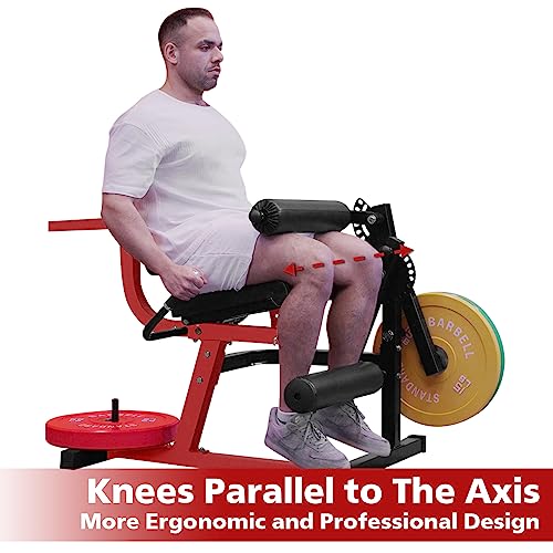 Adjustable Leg Extension & Curl Machine - Home Fitness