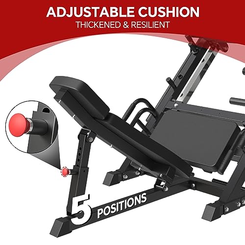 2023 Upgrade: SPART Leg Press & Calf Block