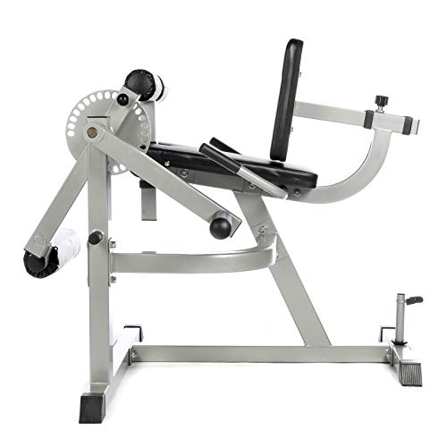 XS Sports Pro Seated Leg Curl & Extension