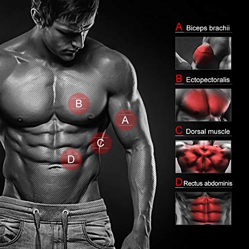 Heavy-Duty Power Twister for Full Upper Body Workout