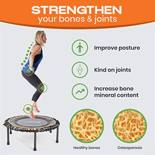 FIT BOUNCE PRO II Bungee Rebounder - Compact, Stylish