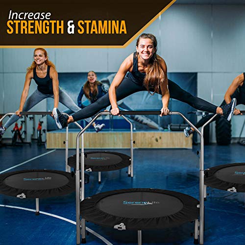 Foldable Trampoline with Adjustable Handle, Adult Indoor Workout