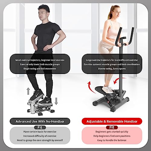leikefitness Portable Twist Stair Stepper with Adjustable Resistance