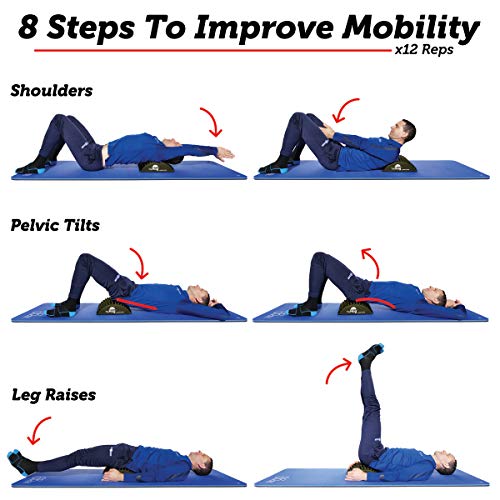 Pilates Hedgehog: Ab & Core Exerciser with Full Range