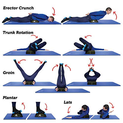 Pilates Hedgehog: Ab & Core Exerciser with Full Range