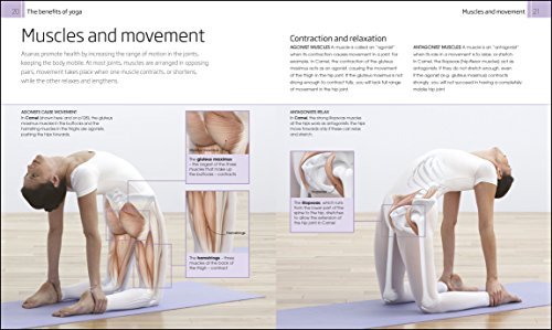 Complete Yoga Guide with Programmes, Meditation, and Recipes