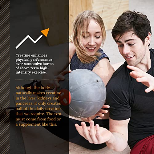 Vegan-friendly Creapure Creatine Powder - 500g