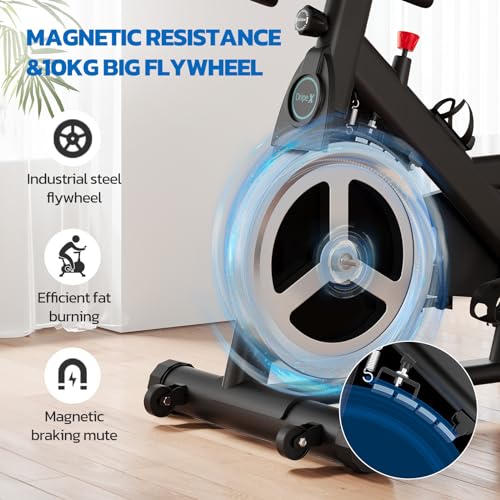 Dripex Heavy-Duty Magnetic Exercise Bike with LCD Monitor