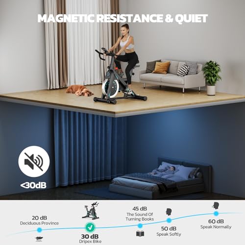 Dripex Heavy-Duty Magnetic Exercise Bike with LCD Monitor
