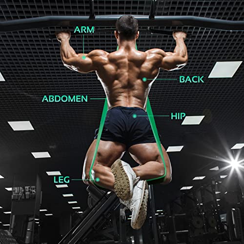 TheFitLife Resistance Pull Up Bands - Full Set