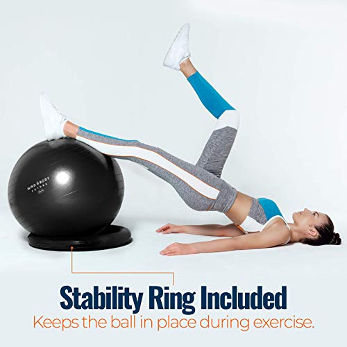 65cm Black Exercise Ball Chair for Home Fitness