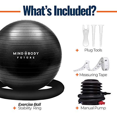 65cm Black Exercise Ball Chair for Home Fitness