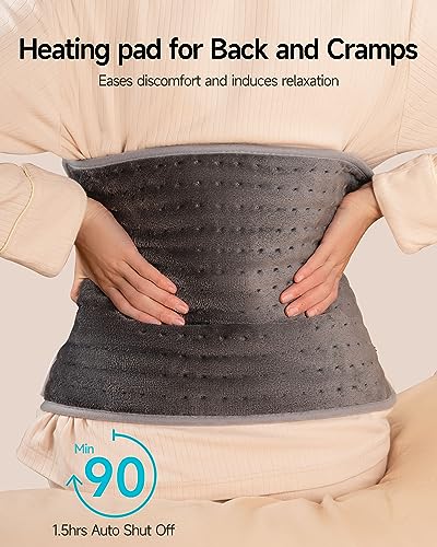 ALLJOY Electric Heating Pad for Back Pain Relief, 6 Settings