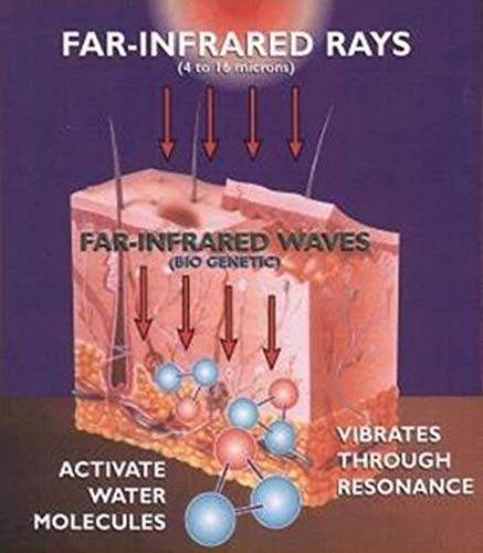 Portable Infrared Sauna by Firzone