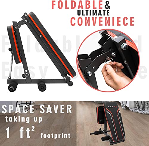 CITYSPORTS Adjustable Workout Bench - Full Body Home Gym