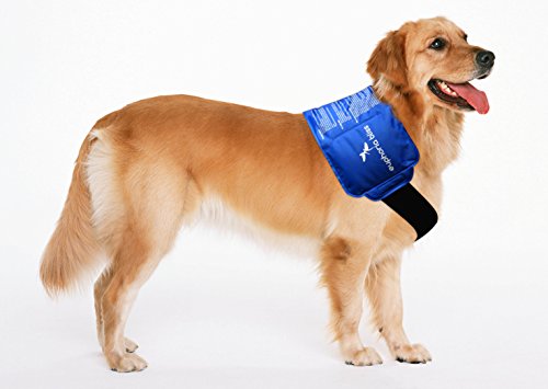 Flexible Ice Pack Gel Wrap for Pain Relief