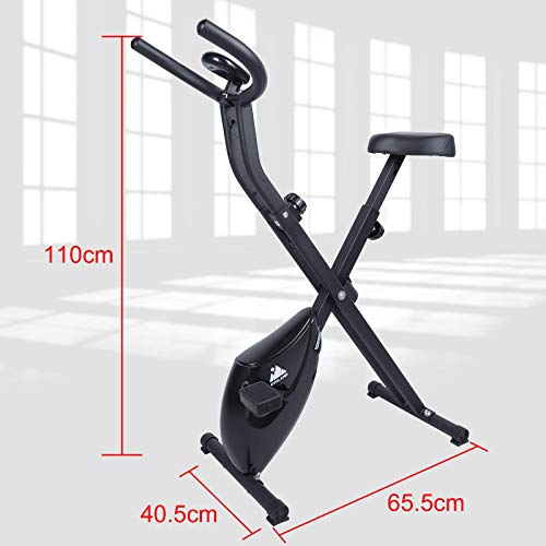 EVOLAND Fitness Bike with LCD Display, 8-Level Resistance
