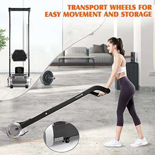 Foldable Magnetic Rowing Machine for Home Fitness