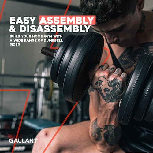 20kg Adjustable Dumbbell Set: Strength Training, Weightlifting