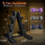 Steel Dumbbell Rack Holder for Home Gym