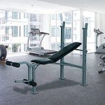 Adjustable Gym Bench with 4 Incline Positions