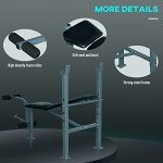 Adjustable Gym Bench with 4 Incline Positions