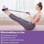 Flintronic 4-Tube Resistance Band Home Gym Equipment