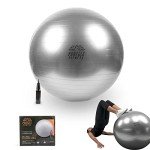 Phoenix Fitness Anti-Burst Exercise Ball with Pump