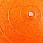 Sveltus 55 cm Orange Gym Ball