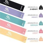 Coresteady 5-Piece Resistance Bands Set with Guide