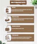 Wooden Foldable Pilates Reformer Machine for Home