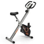 Wenoker Folding Exercise Bike with Magnetic Resistance