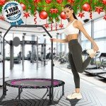 Darchen 200 KG Indoor Mini Trampoline for Fitness