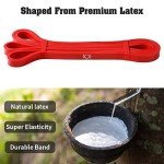 Resistance Bands for Home and Gym Workouts