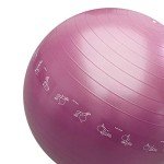 Proiron Anti-Burst Yoga and Fitness Exercise Ball
