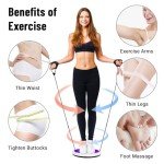 Waist Twisting Disc with Handles for Home Fitness