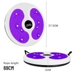 Waist Twisting Disc with Handles for Home Fitness