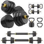 Adjustable Dumbbells Set - 66lbs Home Gym Equipment