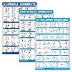 QuickFit 3-Pack Workout Charts for Home Fitness