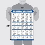 QuickFit 3-Pack Workout Charts for Home Fitness