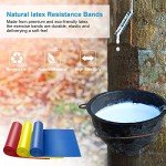 Resistance Bands Set - 3 Levels for Home Workouts