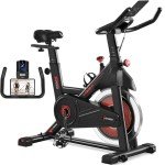 Yaheetech Indoor Stationary Exercise Bike with LCD