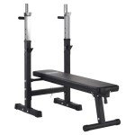 Mirafit Adjustable Weight Bench with Dip Station