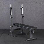 Mirafit Adjustable Weight Bench with Dip Station